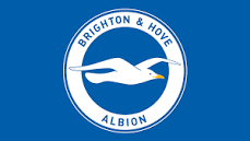 Brighton Community Stadium